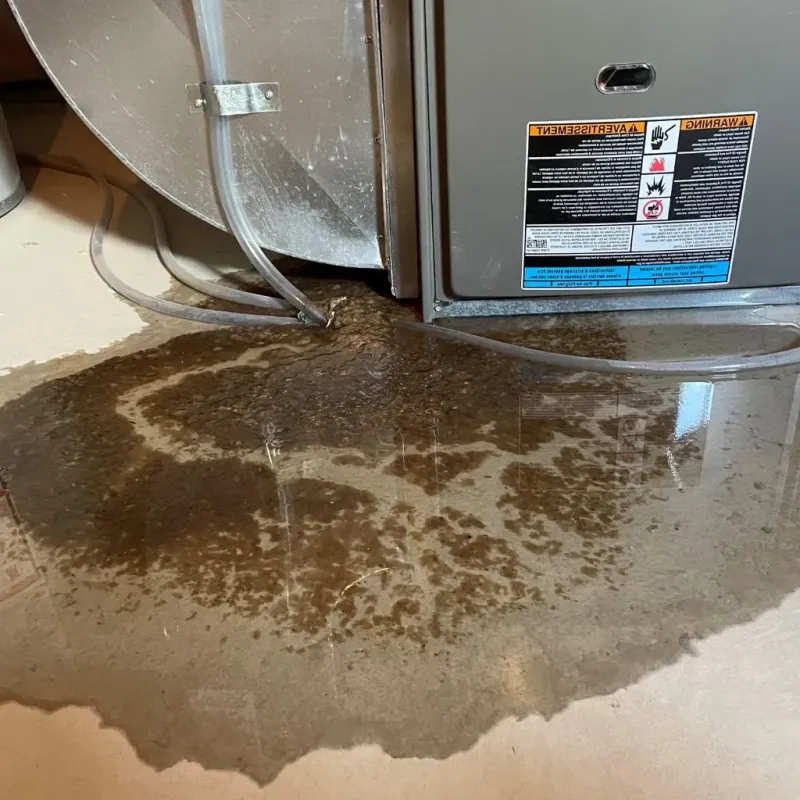 Pipe Burst and Leak Restoration in Vanceburg, KY