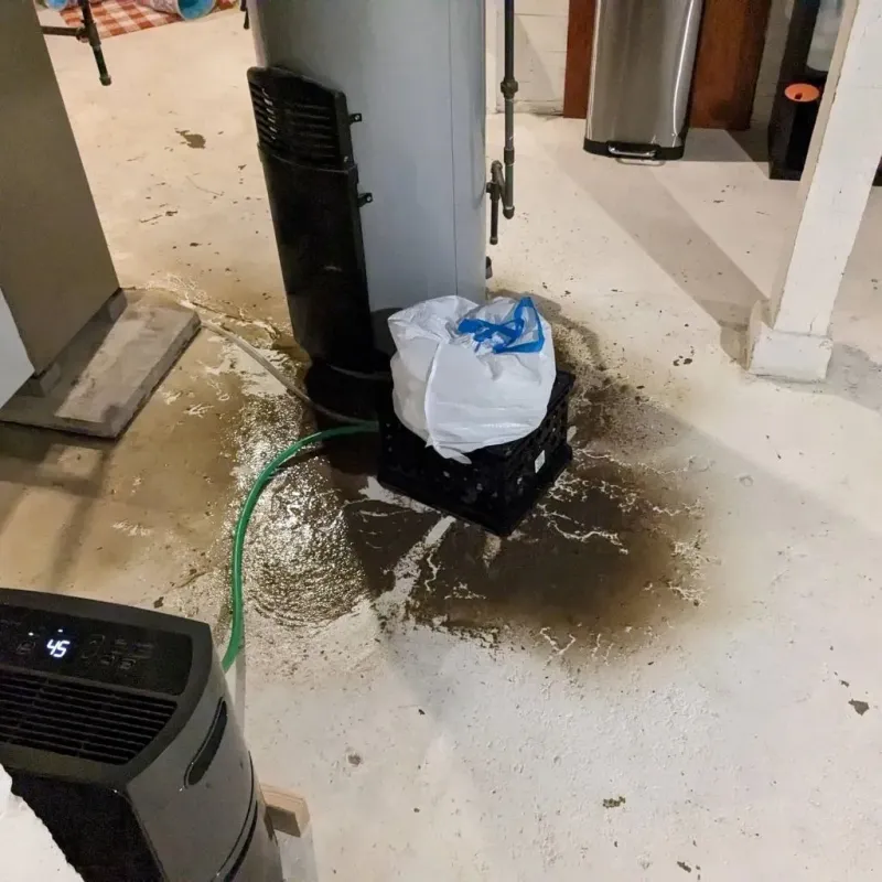 Sewage Backup Cleanup Service in Vanceburg, KY